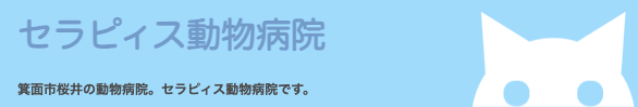 セラピィス動物病院